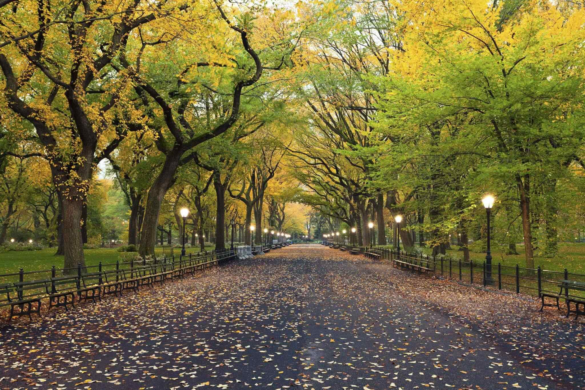 https://www.frenzitours.de/wp-content/uploads/2018/09/destination-new-york-02.jpg