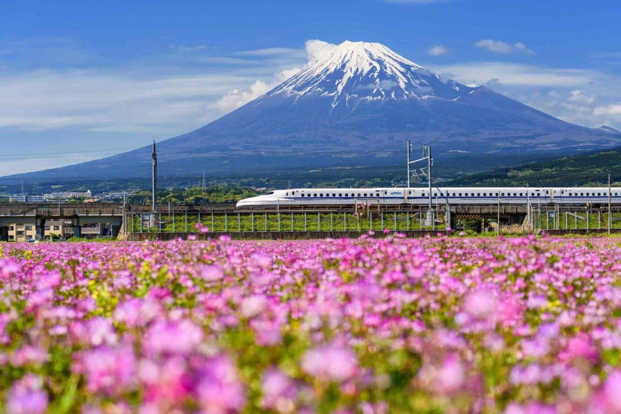 tour-osaka-04 https://www.frenzitours.de/wp-content/uploads/2018/09/tour-osaka-04-1280x854.jpg